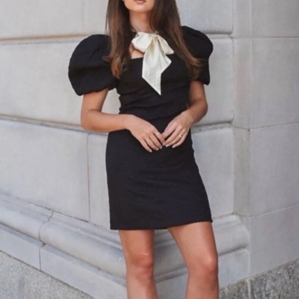 Antonio Melani Seville Puff Sleeve Dress